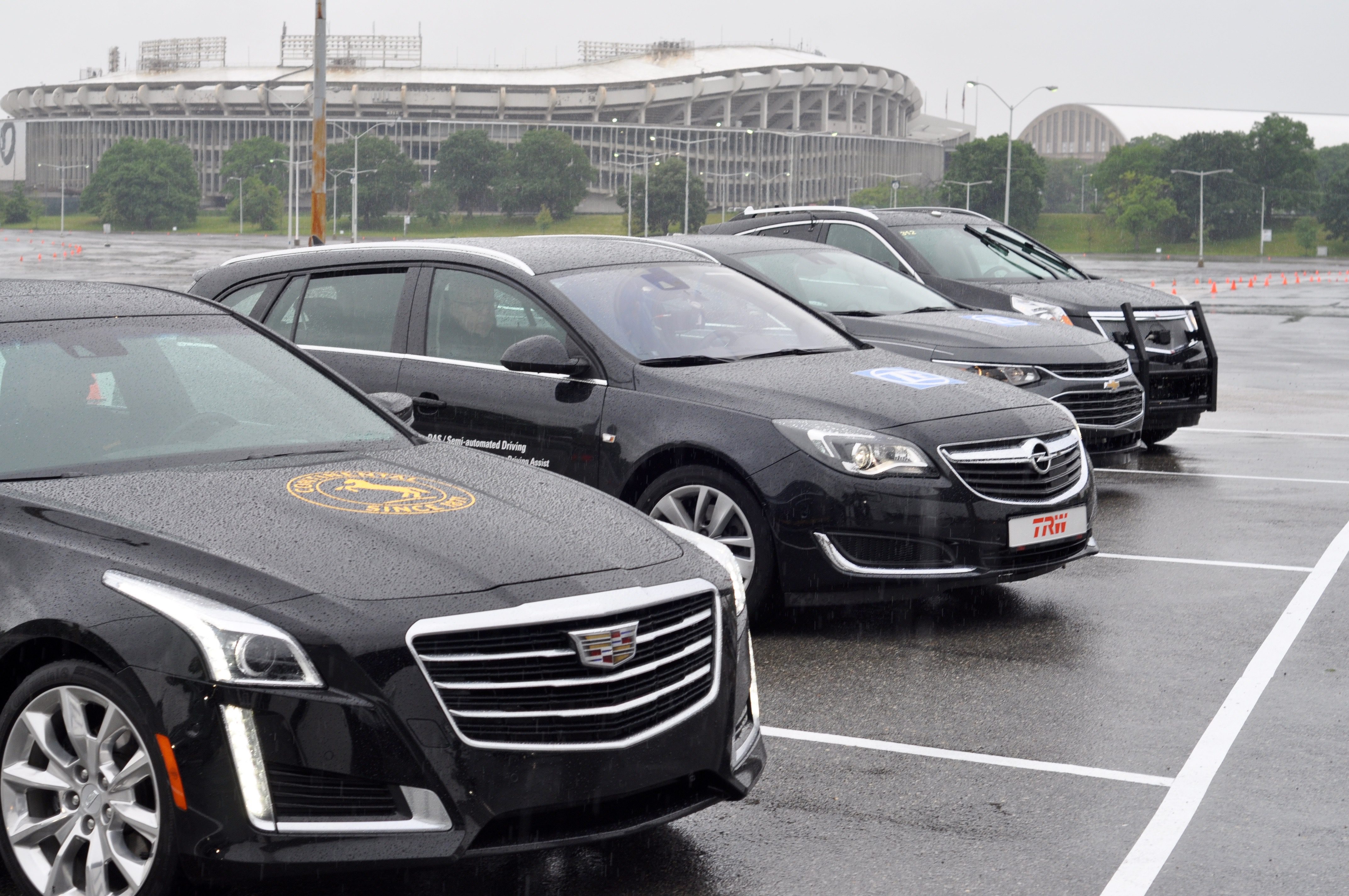 A lineup of luxury black sedans parked in a row on a rainy day.
