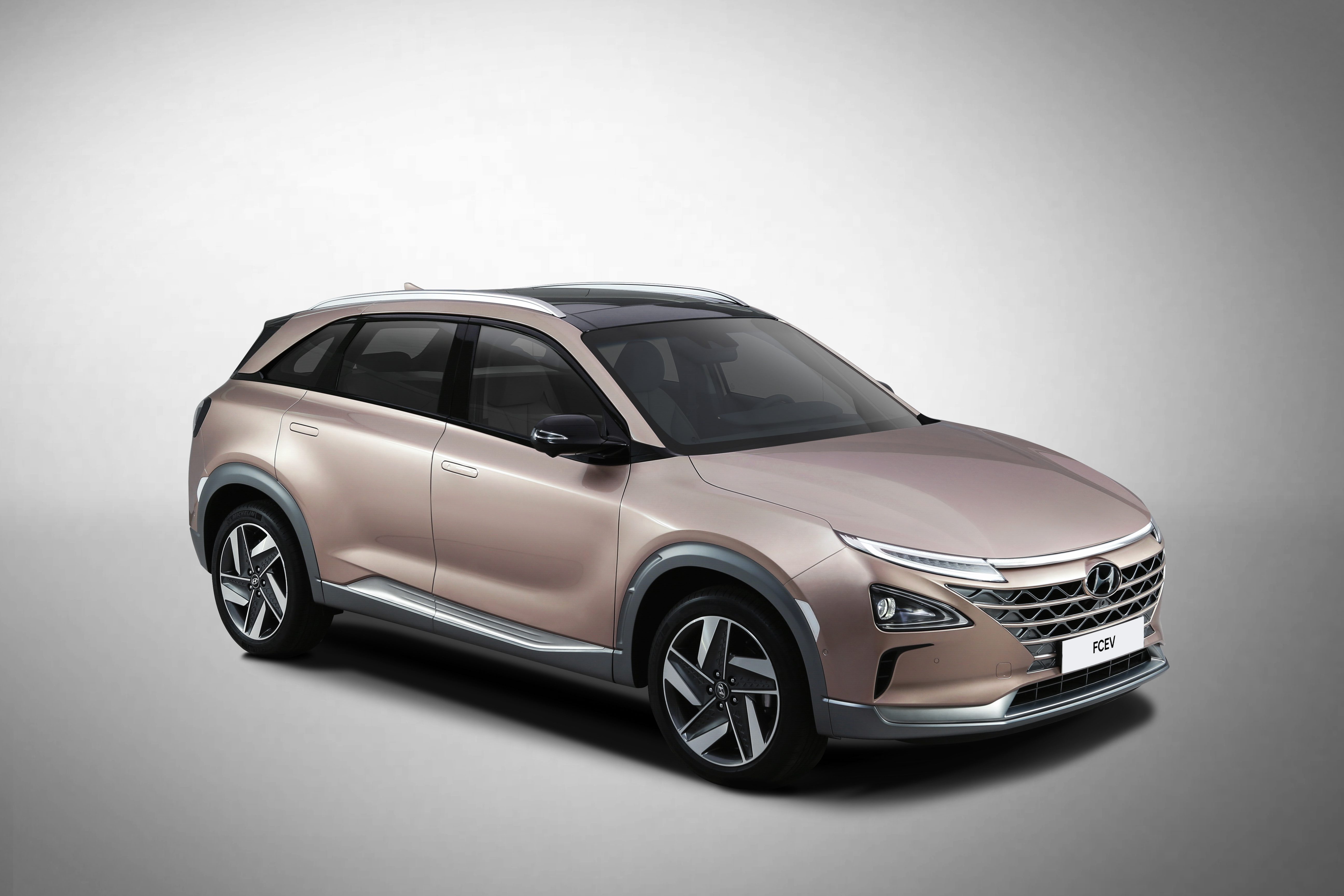Sleek modern electric SUV with a metallic finish.