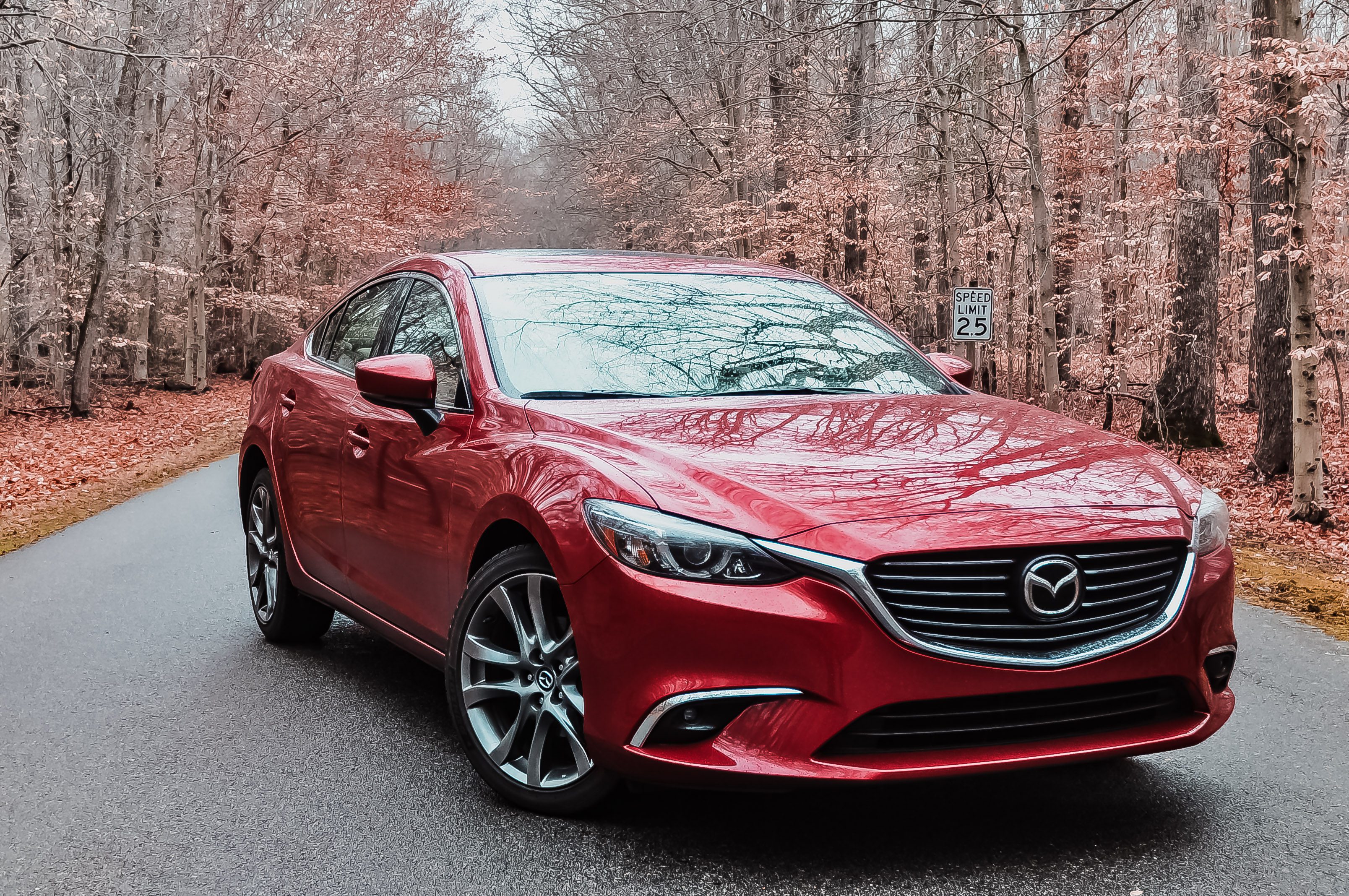 Sleek red Mazda sedan parked on a forest road with autumn leaves.