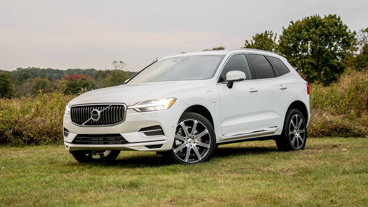 White Volvo SUV parked on grass with greenery background.