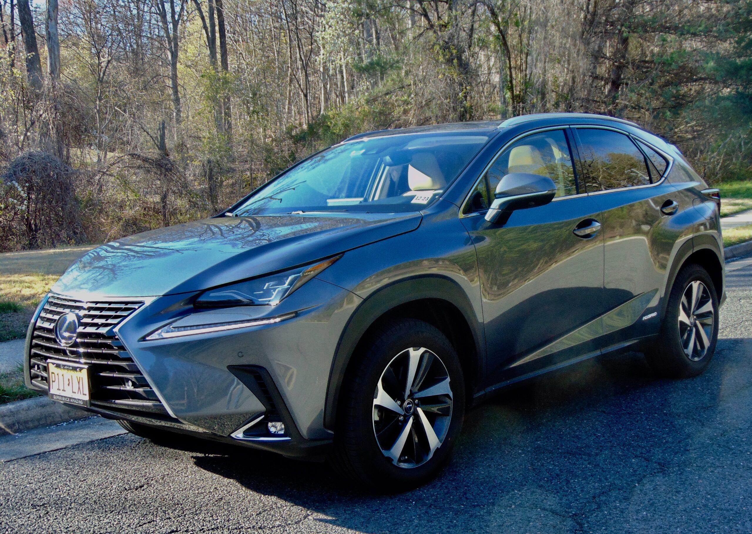 A sleek dark gray Lexus SUV parked on a forested road.