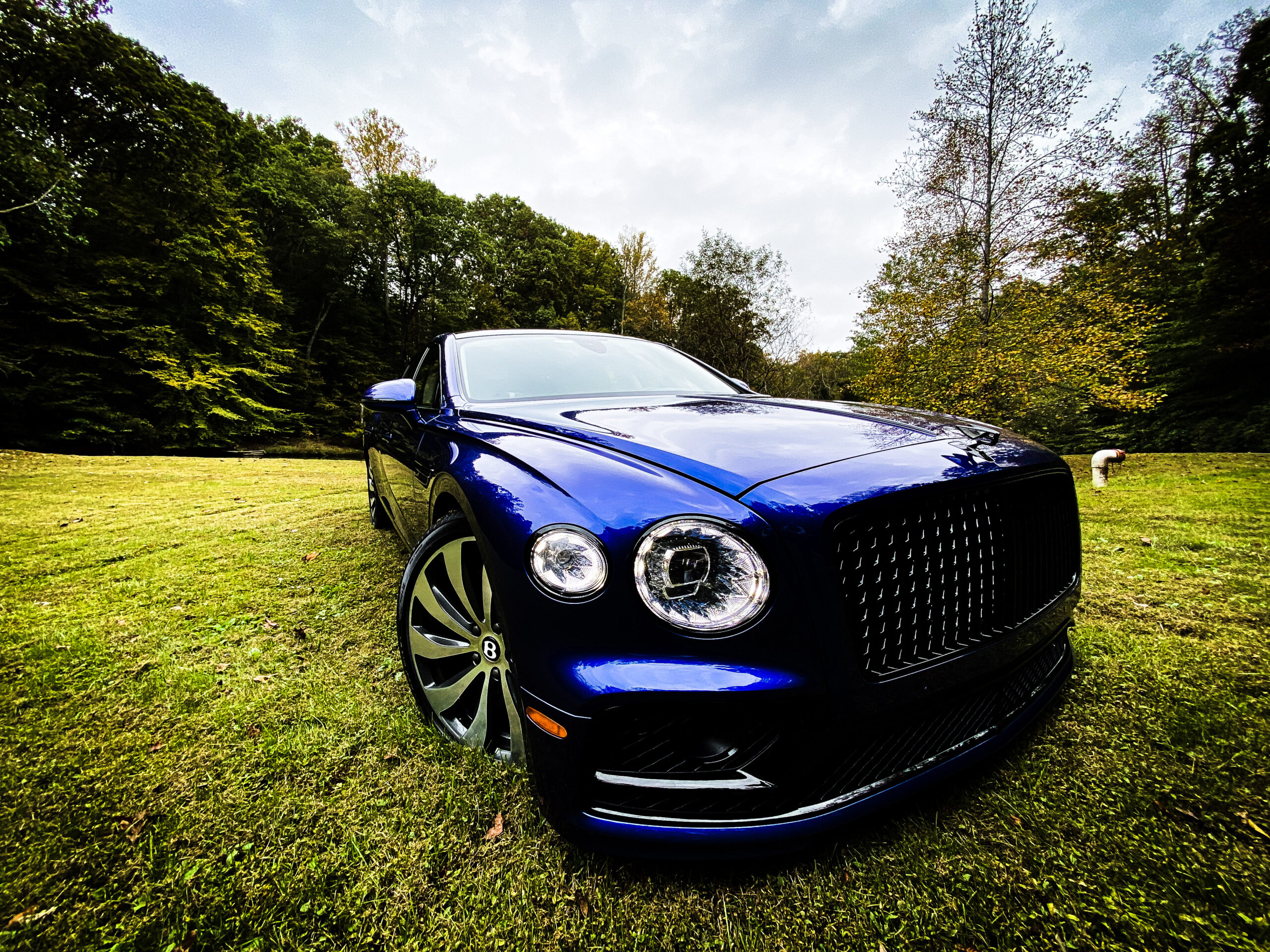 A striking blue luxury car parked on grass with trees in the background.