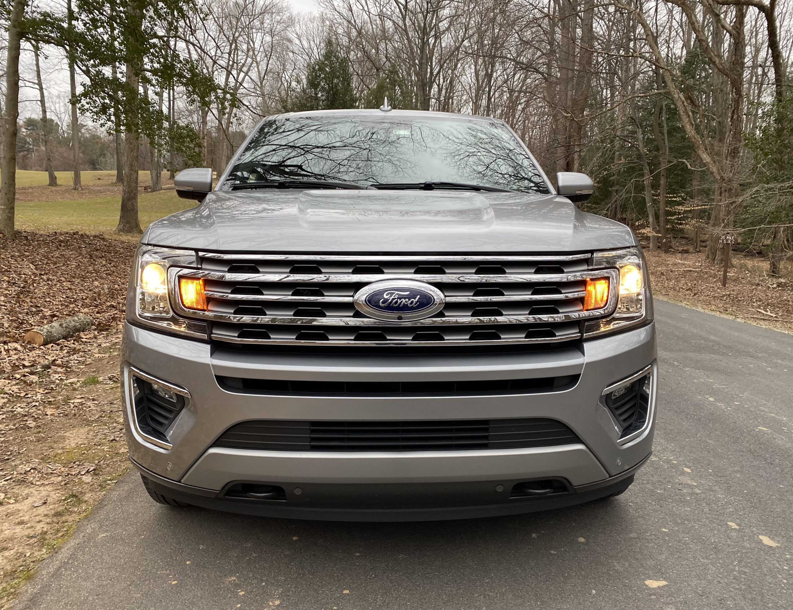 Front view of a silver Ford SUV parked on a road with trees in the background.