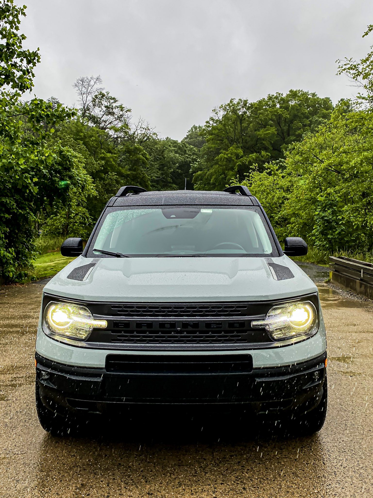 Front view of a black SUV with headlights on, parked on a road surrounded by lush green trees.