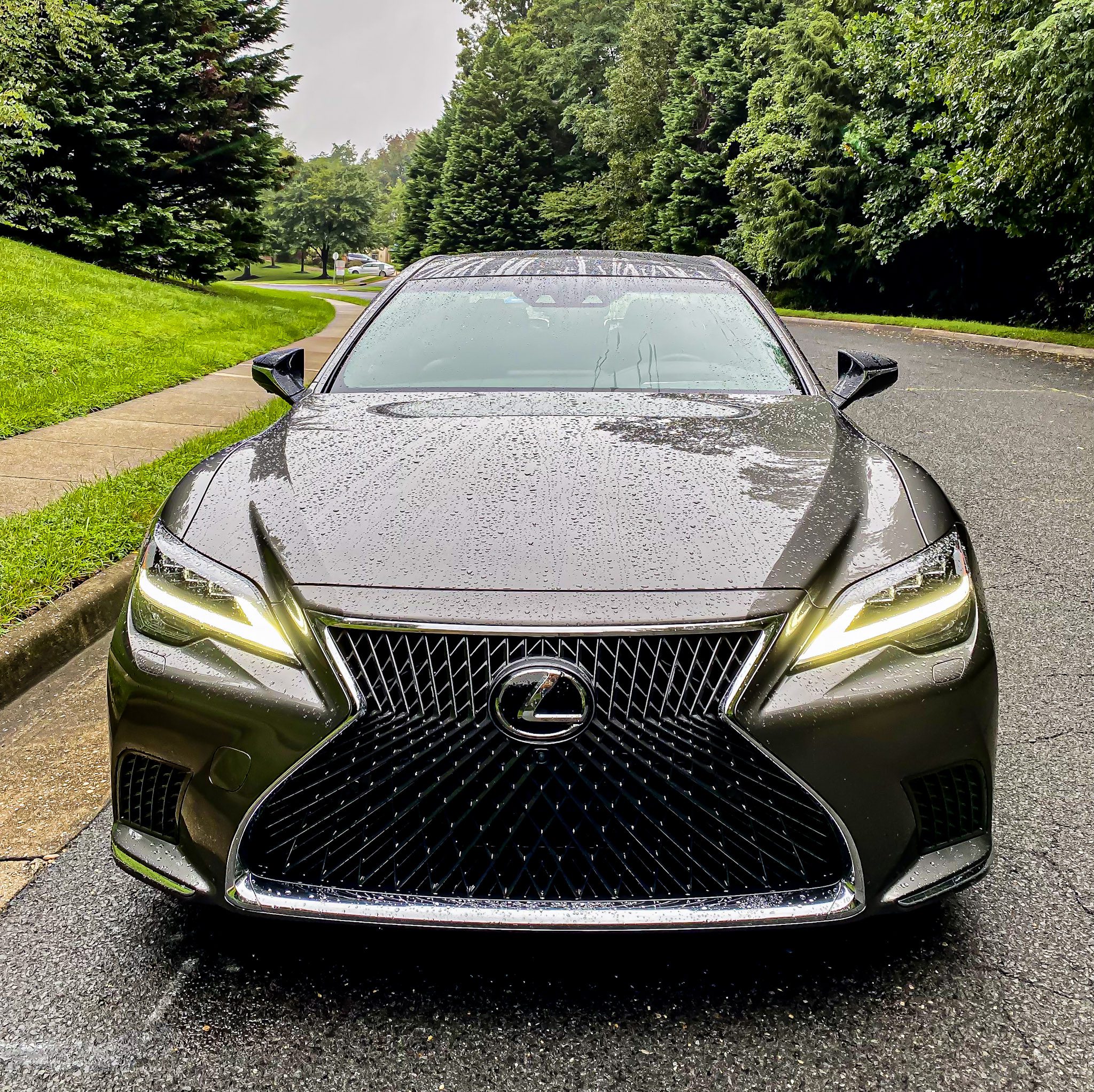 Sleek black Lexus sedan parked on a rainy road surrounded by greenery.