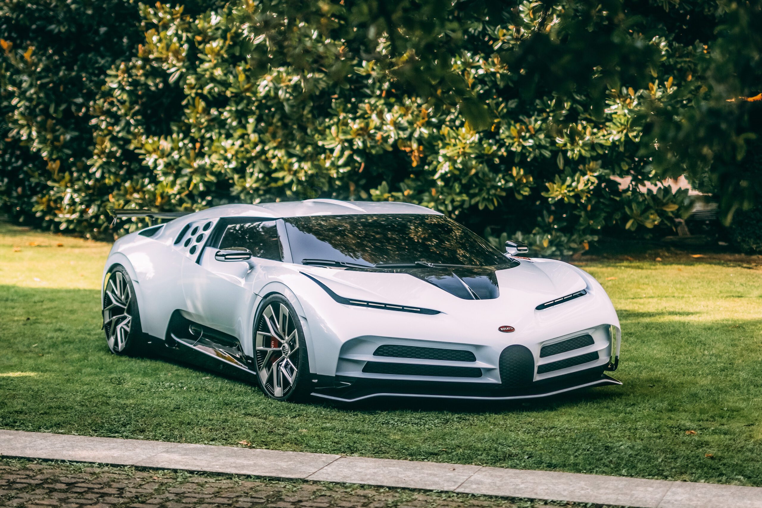 A sleek silver Bugatti Chiron sports car parked on grass near trees.