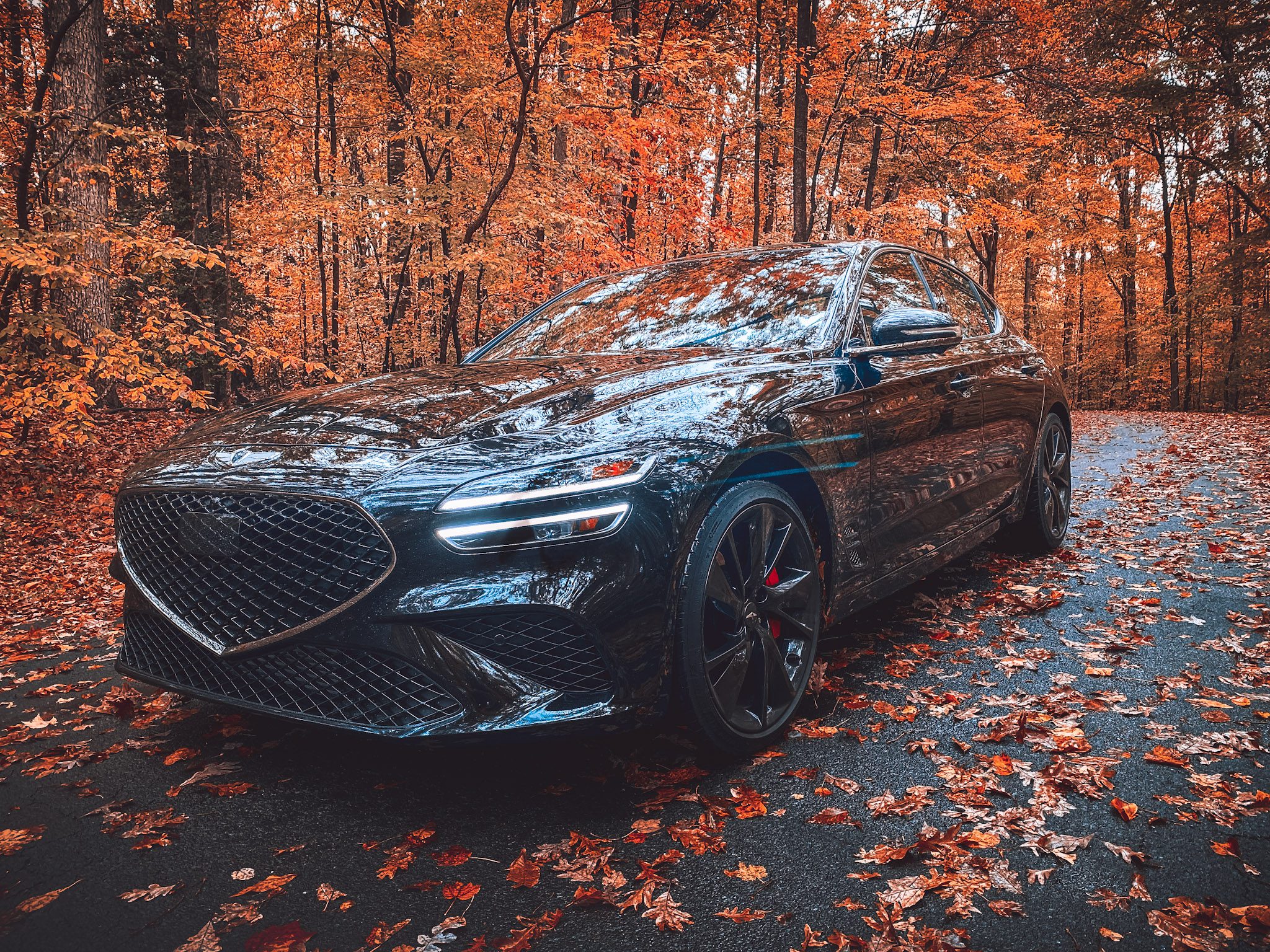 Black luxury car parked on a vibrant autumn forest road covered with orange leaves.