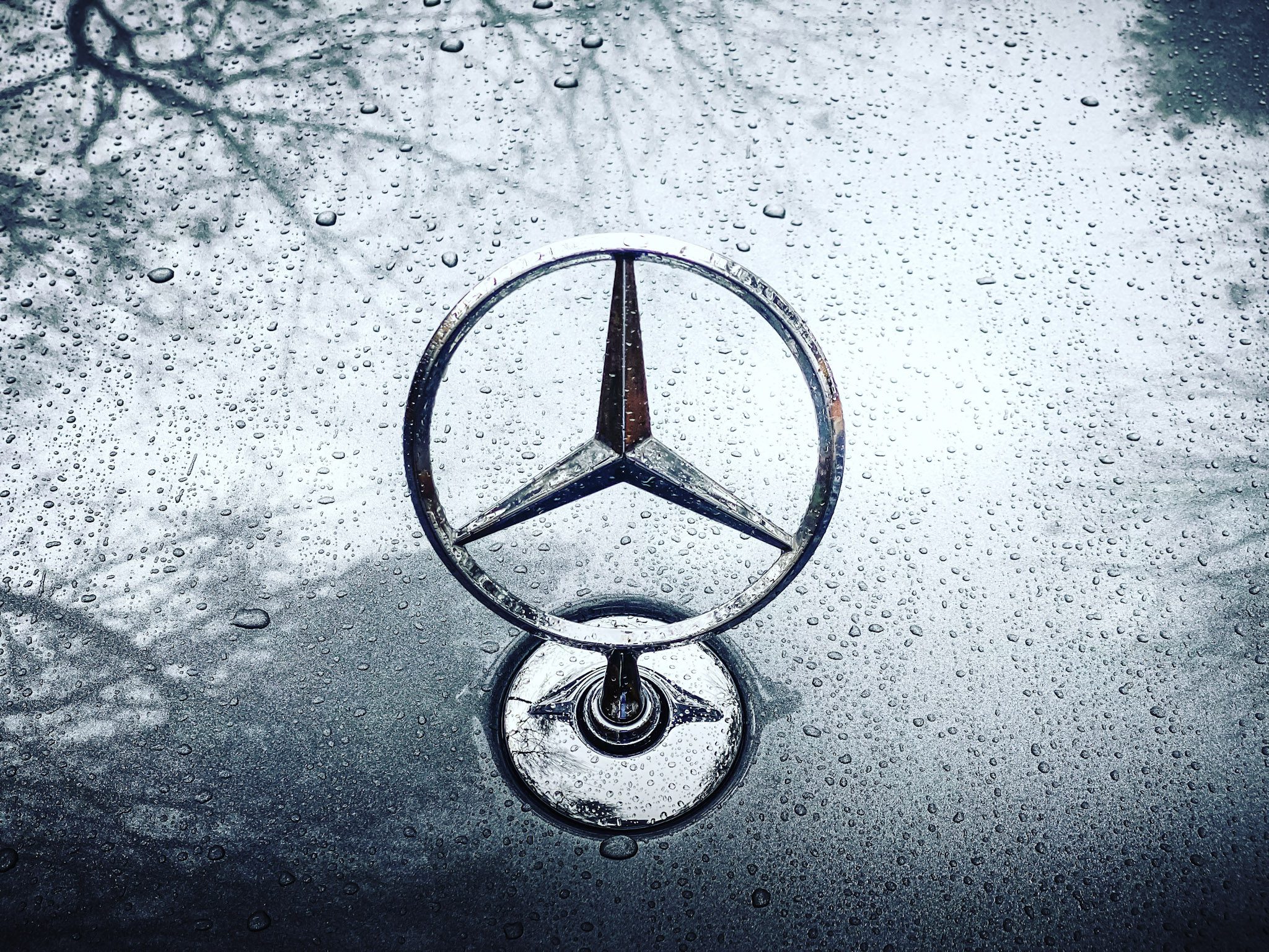 Close-up of a Mercedes-Benz emblem with water droplets.