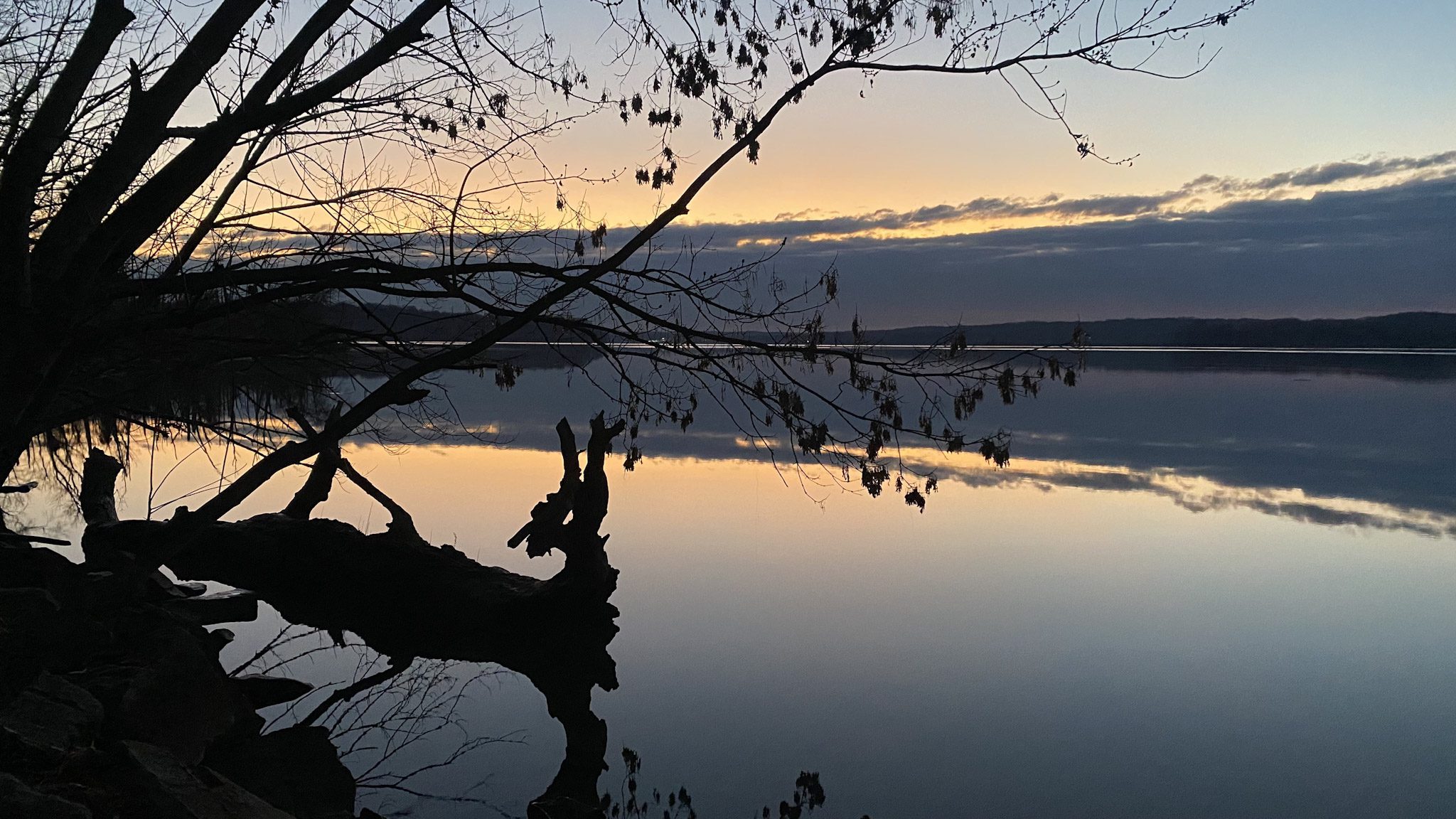 Sunset over a calm lake with silhouetted tree branches.