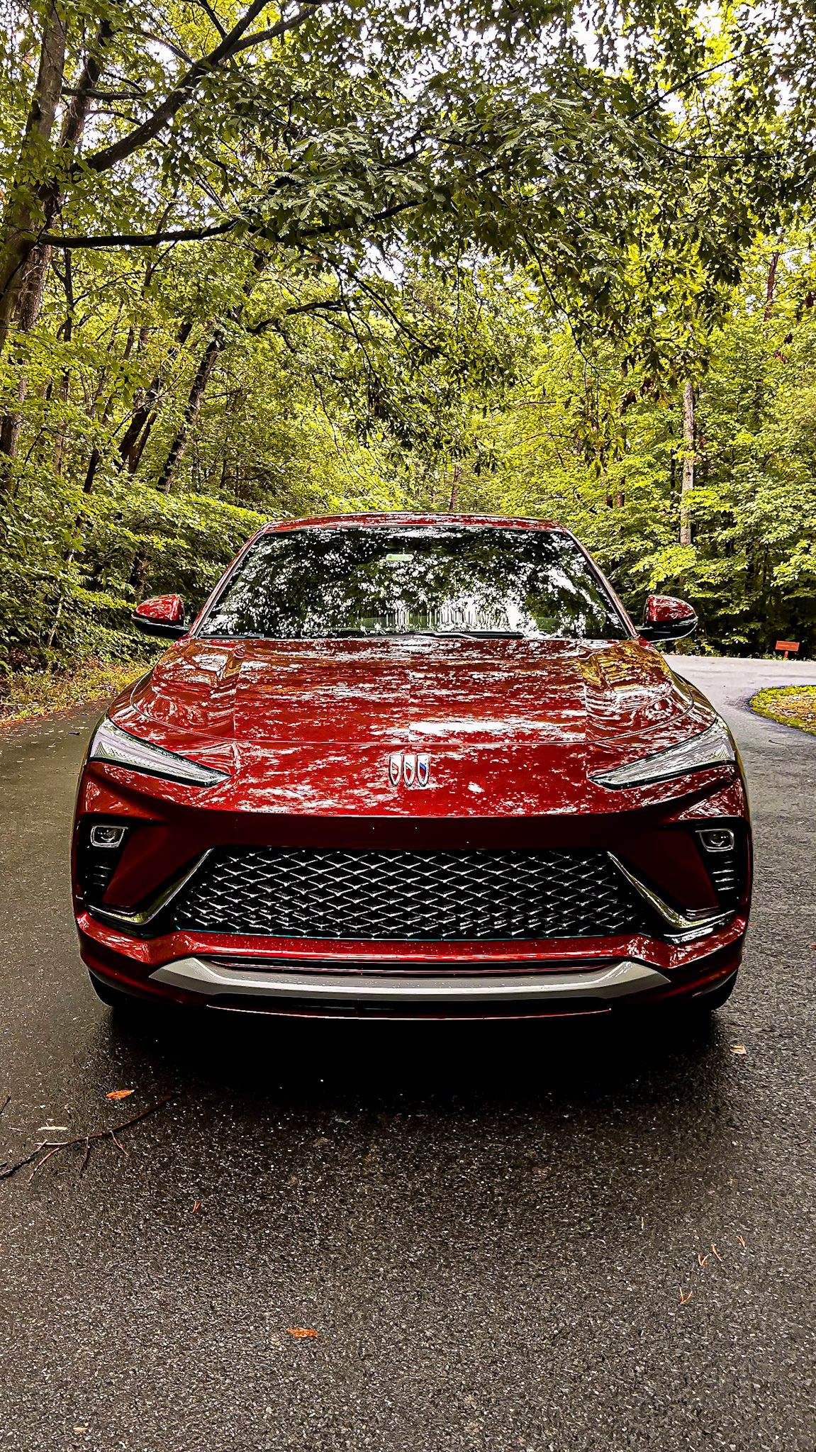 Red SUV parked on a forest road with green trees.