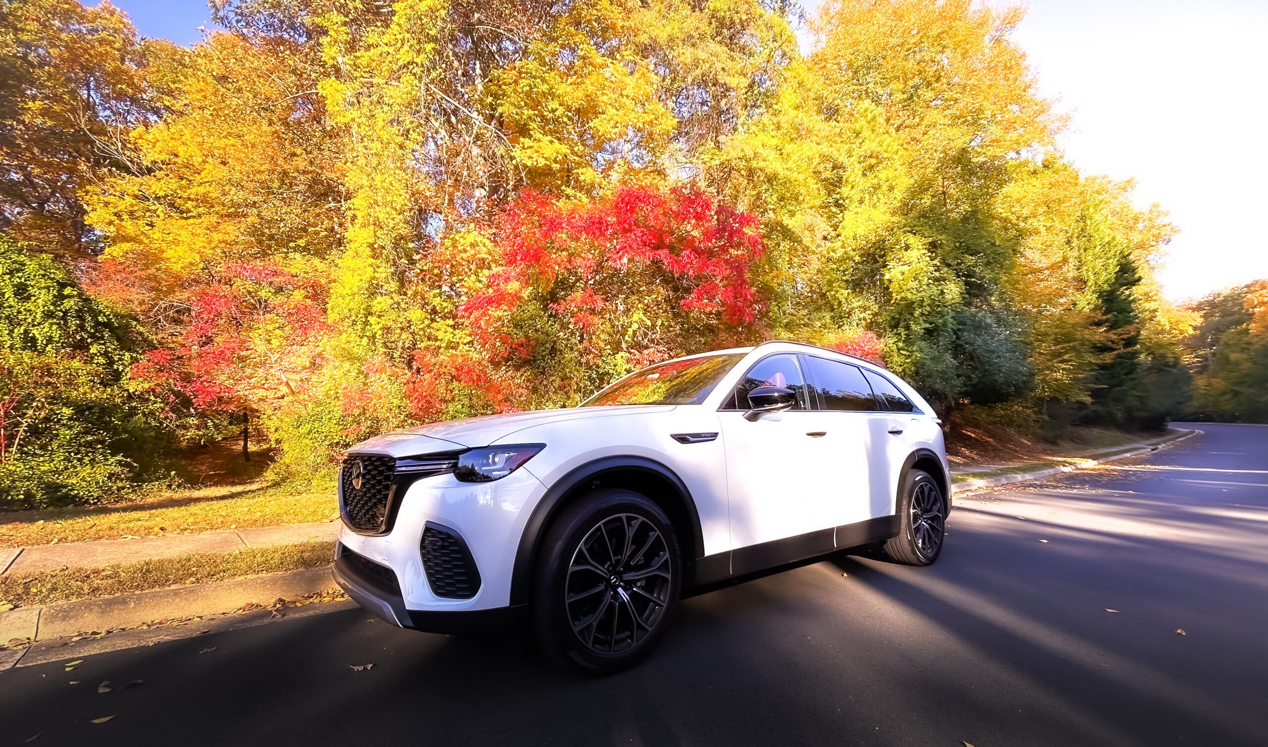 White SUV parked on a road surrounded by vibrant autumn foliage.