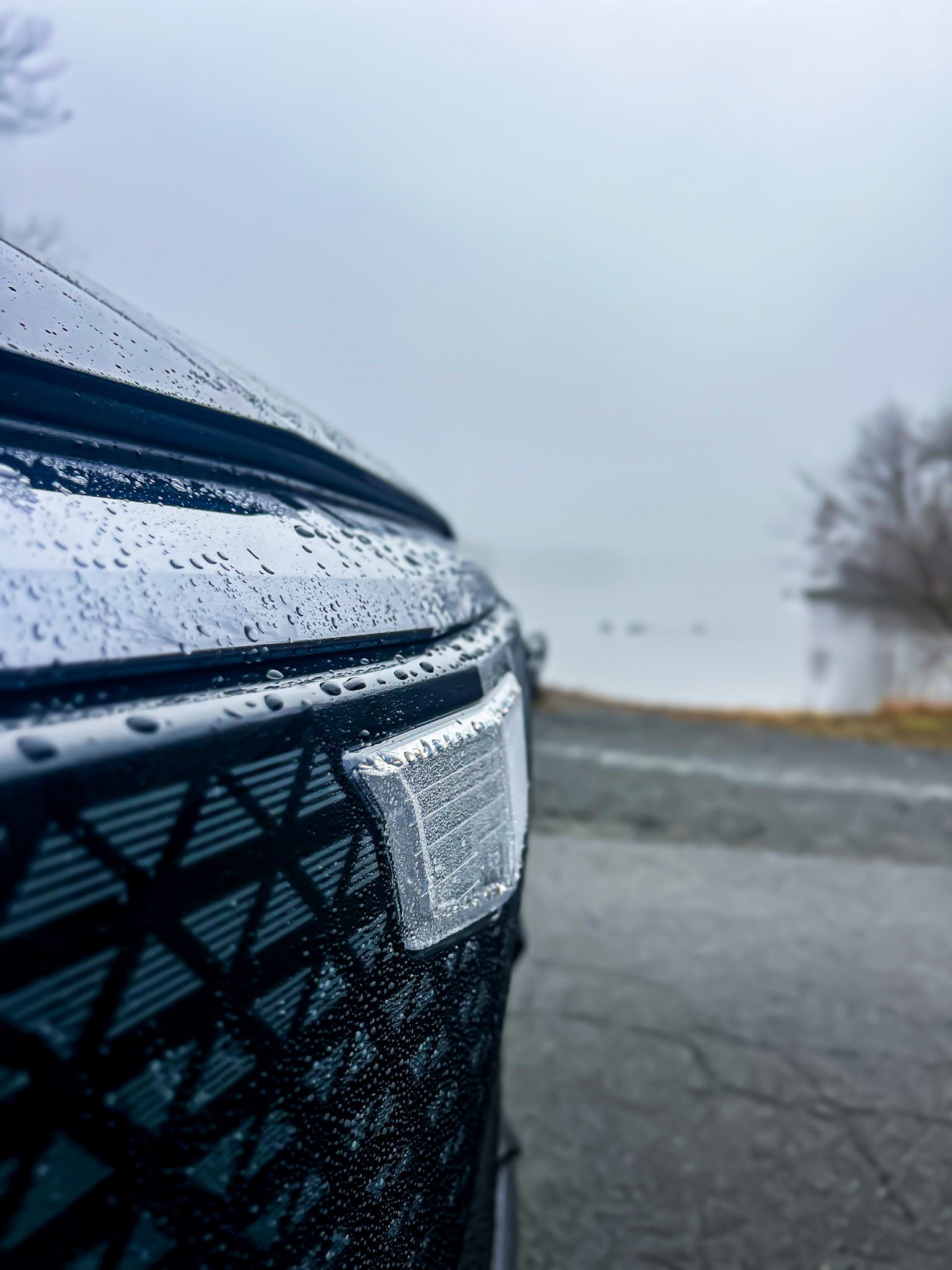 Close-up of a wet car grille on a rainy day.