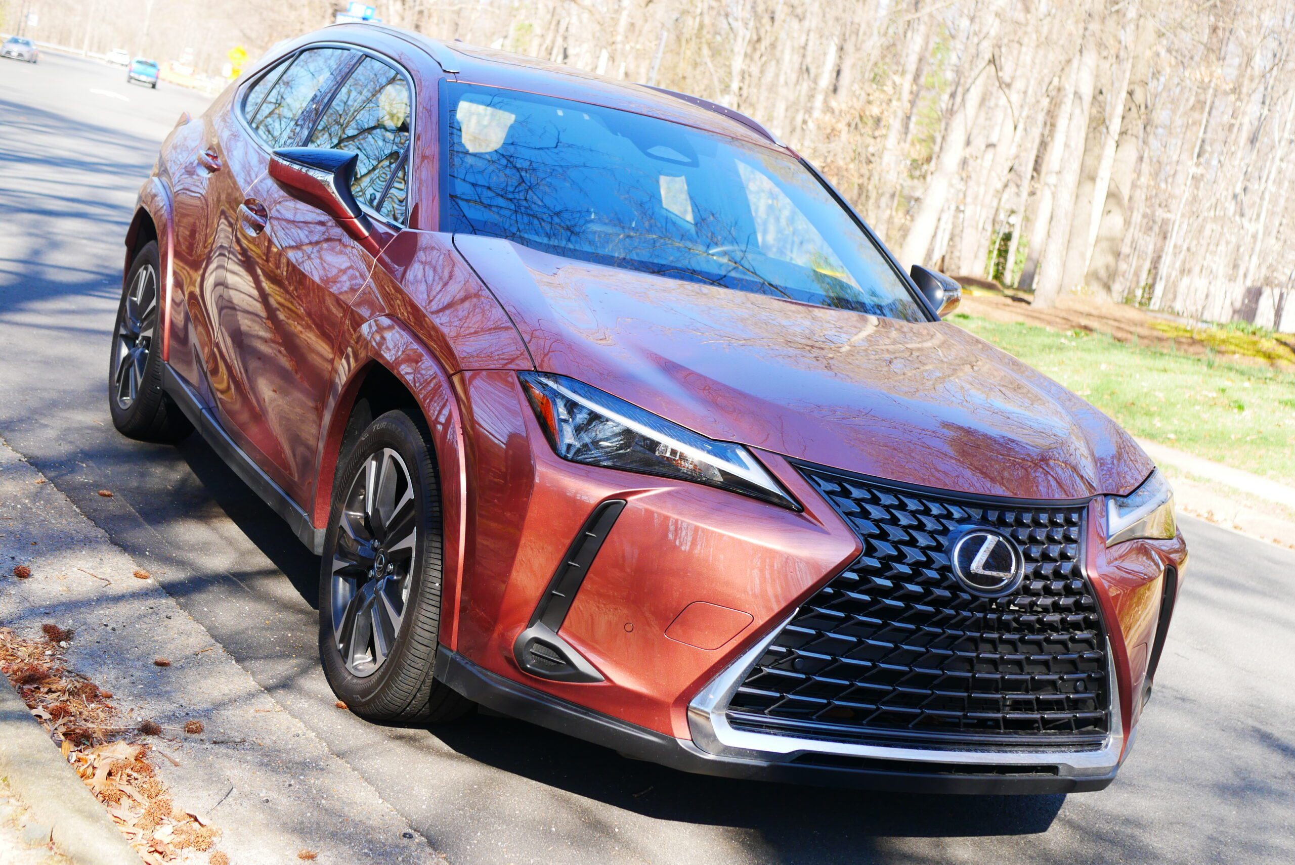 Red Lexus SUV parked on a sunlit road with trees in the background.