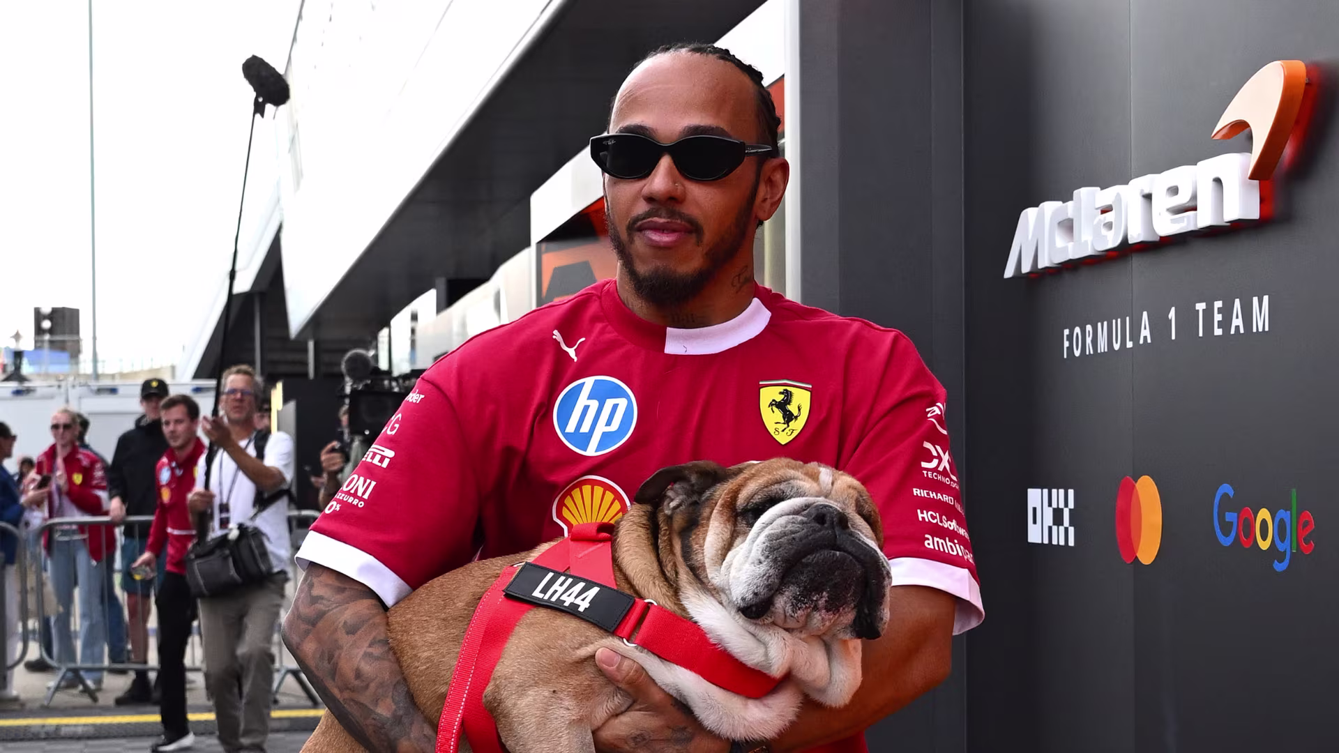 Man in red Ferrari shirt holding a bulldog.