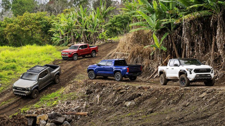 Four toy trucks navigating a dirt trail surrounded by greenery.