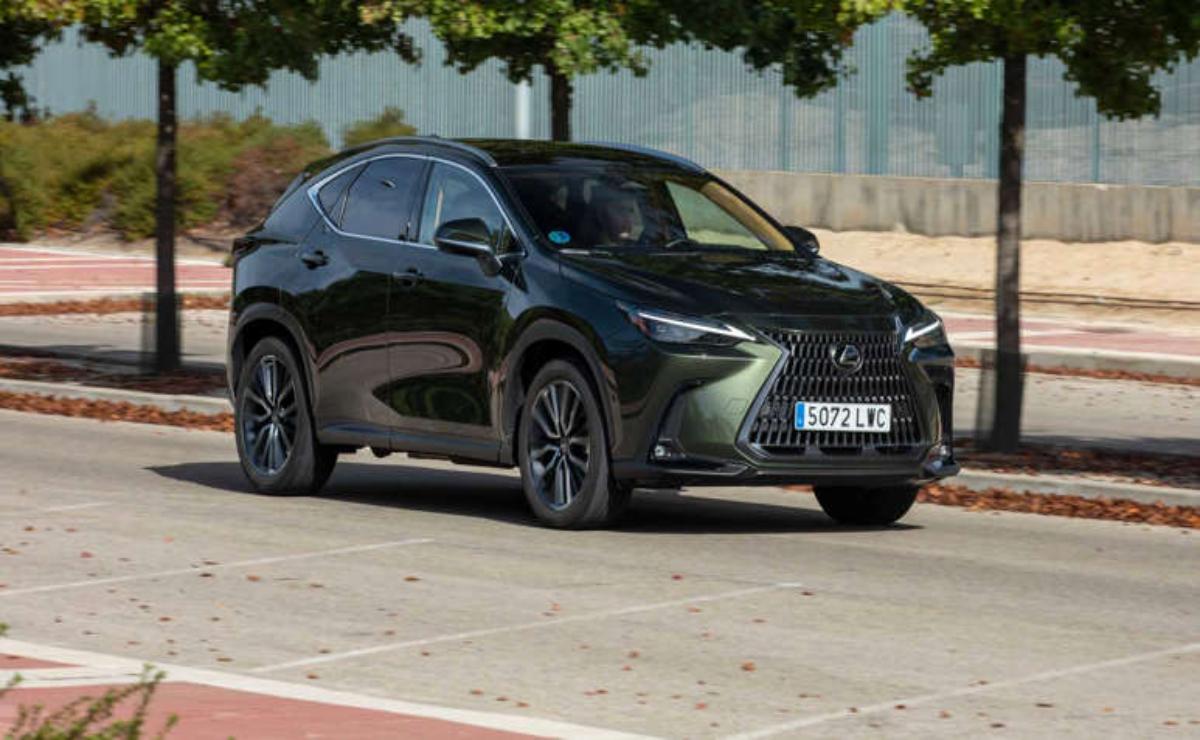 Black Lexus RX SUV parked on a street with trees in the background.