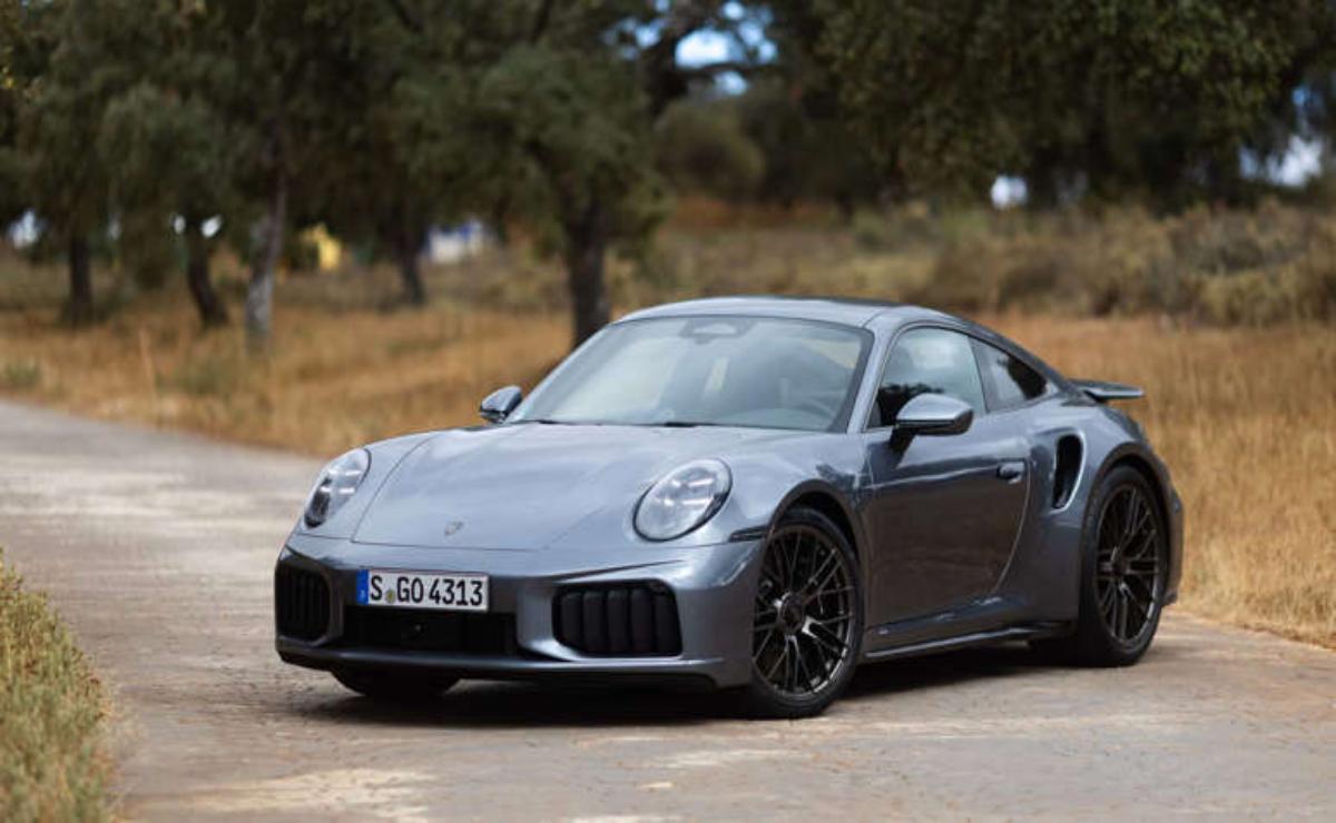 A sleek gray sports car parked outdoors among trees.